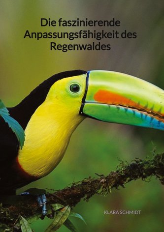 Die faszinierende Anpassungsfähigkeit des Regenwaldes