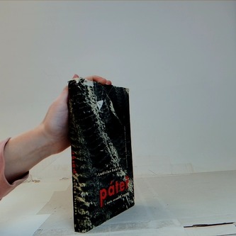 Páteř z deníku neznámého brigádnika