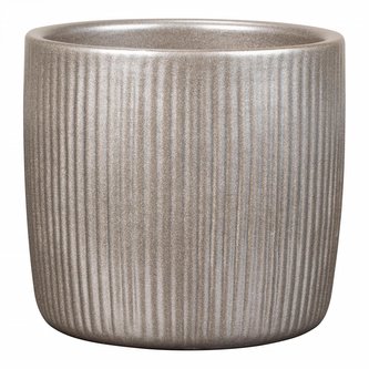 Obal 909 Magic gold 18