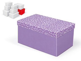 krabice dárková B-C005-H 30x19x15cm 5370879