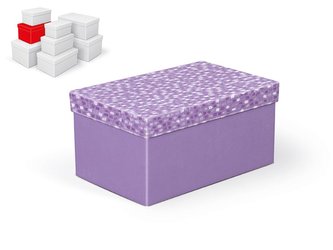 krabice dárková B-C005-D 22x14x11cm 5370875