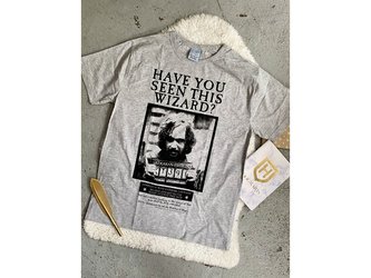 Tričko pánské, Sirius Black šedé, Harry Potter Velikost: L Tričko pánské, Sirius Black šedé, Harry Potter Velikost: L