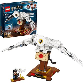 LEGO® Harry Potter 75979 Hedvika