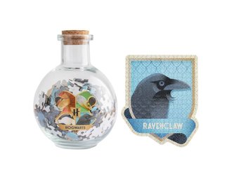 Puzzle ve skleněné nádobě, Havraspár, Harry Potter