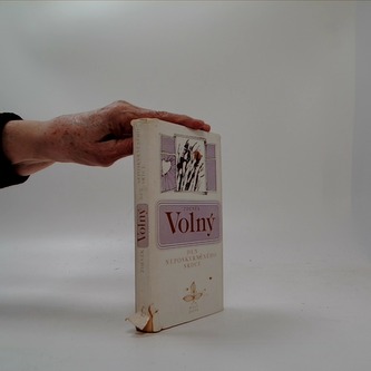 Den neposkvrněného srdce