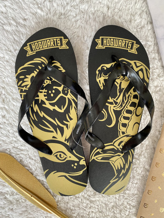 Žabky pánské, Harry Potter Velikost: 40/41