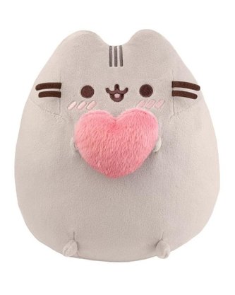 Pusheen se srdcem