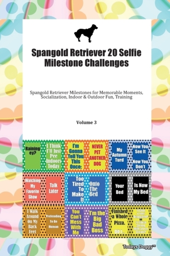 Spangold Retriever 20 Selfie Milestone Challenges Spangold Retriever Milestones for Memorable Moments, Socialization, In