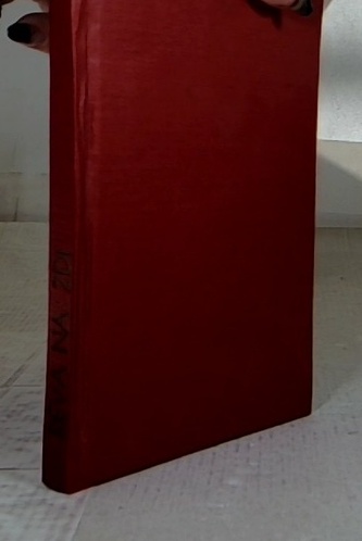 Réva na zdi (románová příloha týdeníku Naše rodina)