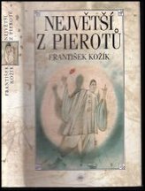 Obrázek knihy
