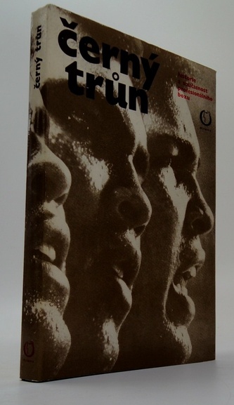 Černý trůn - historie a současnost profesionálního boxu