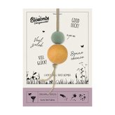 Blossombs Semínkové bomby - Drobný dáreček - Panenka pro štěstí (2 ks) - originální a praktický dárek v jednom