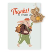 Blossombs Semínková bomba - Dárková dekorace pro učitele - Včelka (1 ks)