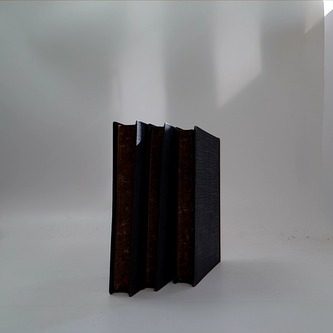 Dílo Jana Nerudy: Léta persekuce (I. - III.)