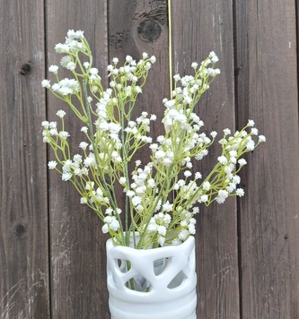 Gypsohila větvička