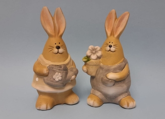 Králík tlusťoch stojící