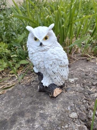 Sova na větvi bílá