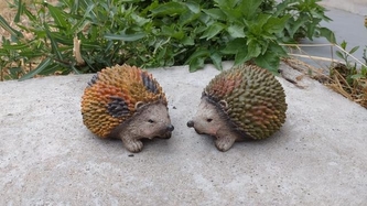 Ježek poly podzimní střední