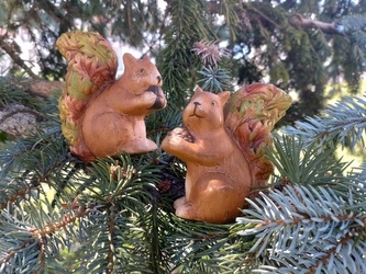 Veverka podzimní design menší