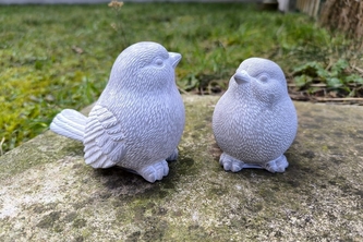 Ptáček šedobílý malý