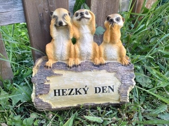 Surikaty na kmeni "Hezký den"