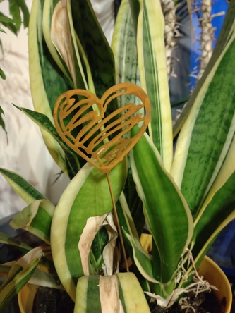 Srdce zápich kov malé