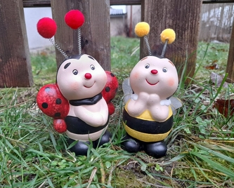 Beruška nebo vosa malá