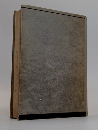 Beránek v rouše vlčím