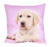 Fotonávlek, Labrador v růžové, 40 x 40 cm