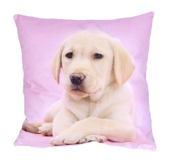 Fotonávlek, Labrador v růžové, 40 x 40 cm