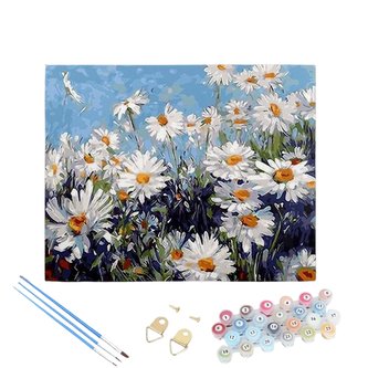 Malování podle čísel 20x30 cm - Kopretiny