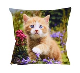 Fotonávlek, Kočička a krokusy, 40 x 40 cm