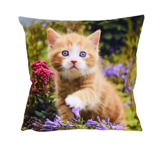 Fotonávlek, Kočička a krokusy, 40 x 40 cm