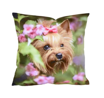 Fotonávlek, Jorkšír s mašličkou, 40 x 40 cm