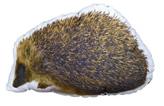 Forbyt, Fotopolštář, 3D Ježek