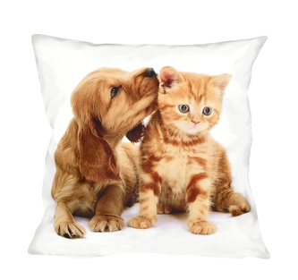 Fotonávlek, Štěně a mourek, 40 x 40 cm