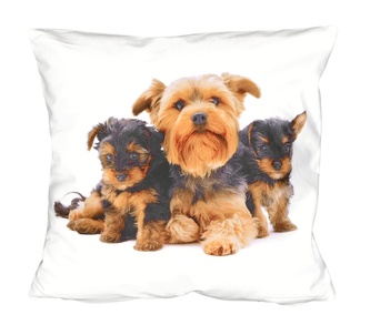 Fotonávlek, Jorkšír a štěňátka, 40 x 40 cm