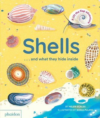 Shells... and what they hide inside Shells... and what they hide inside