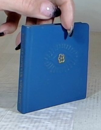 Kulhavý poutník