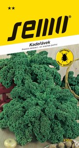 Kadeřávek - Halbhoher Grüner Krauser zelený 1g