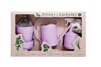 sada Bylinky - FIALK. z kuchyňky-konev, květ., substr, sem.