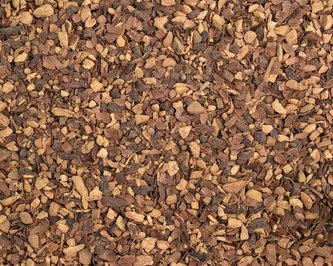 Směs koření Sweet Chai Choco 50 g