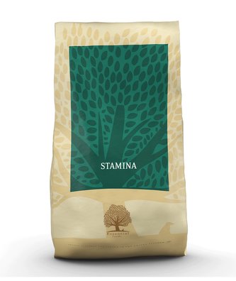 ES Stamina 10kg