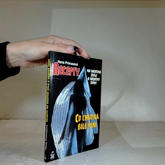 Recepty - Co chutná bílé paní