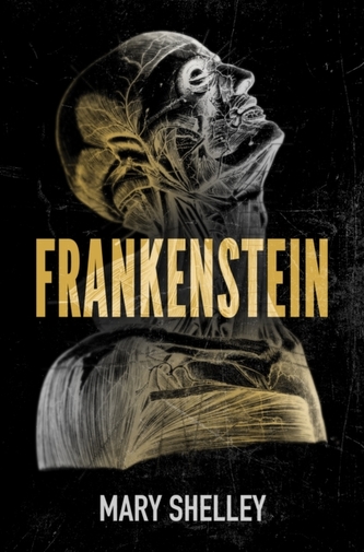 Frankenstein (Dyslexic Specialist edition)