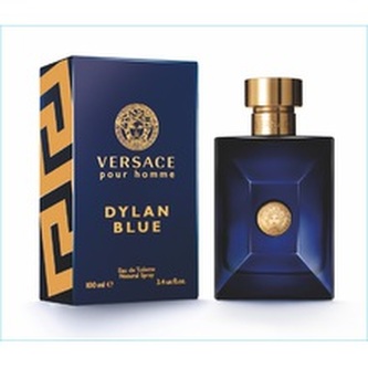 Versace Versace Pour Homme Dylan Blue - EDT TESTER 100 ml man