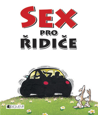 Sex pro řidiče (Patrick Seewaldt, 2007)