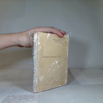 Madonna spacích vozů