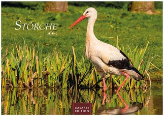 Störche 2024 L 35x50cm
