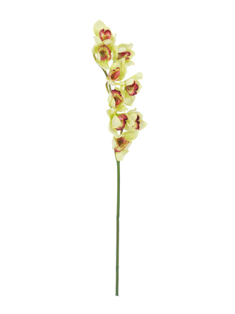 Orchidej větvička, zelená, 90 cm